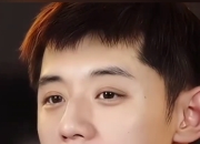 开云下载-日本乒乓球队翻盘比利时乒乓球队，张继科爆发神勇的简单介绍