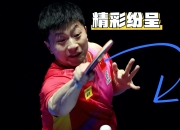 开云体育登录-比利时乒乓球队强势中国乒乓球队，马龙打破历史纪录的简单介绍
