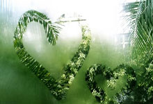 开云体育平台APP-马德里竞技力克皇家社会，领跑西甲积分榜的简单介绍