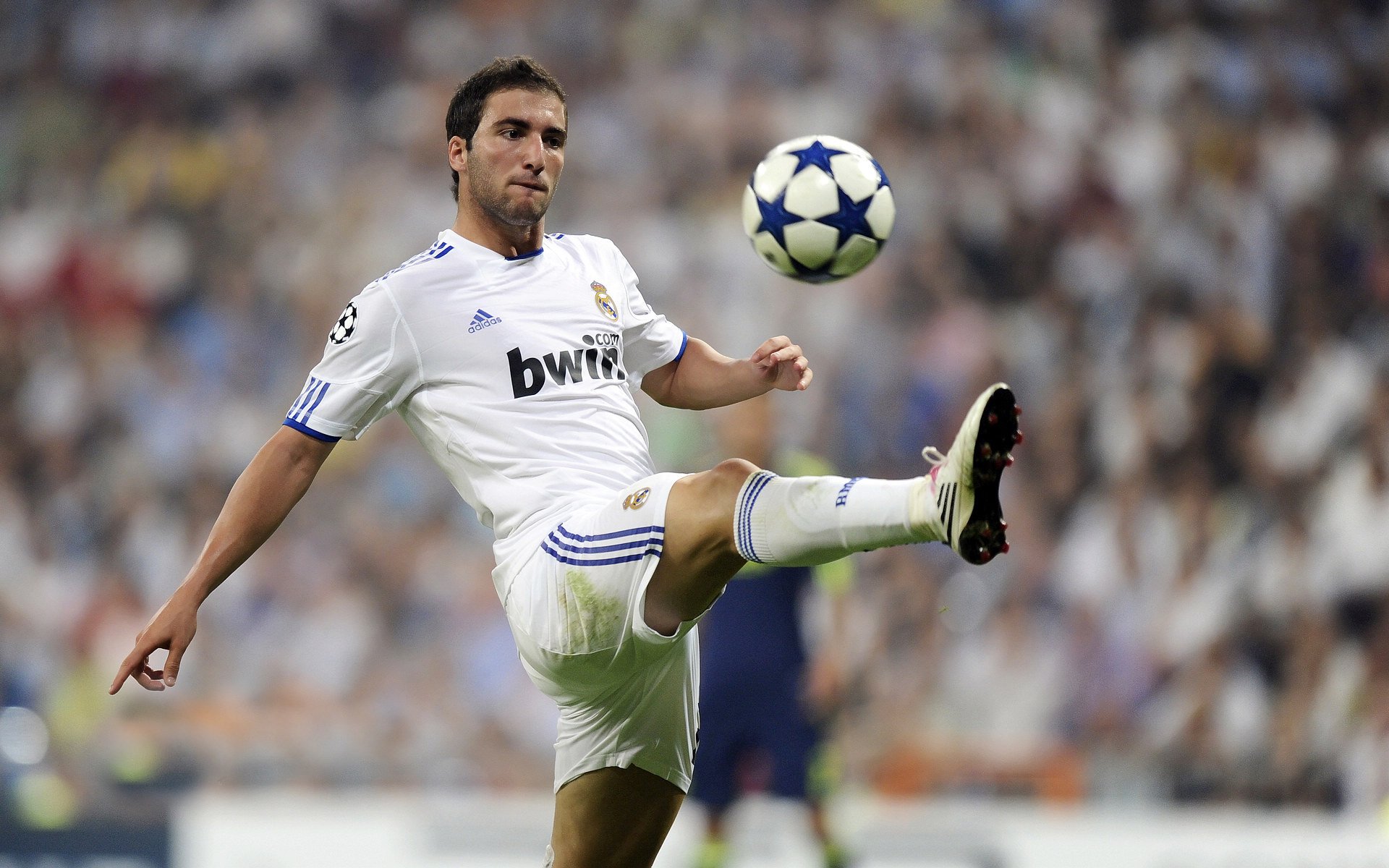 街道狂飙与绿茵风暴，当F1引擎轰鸣遇见阿根廷蓝白之舞