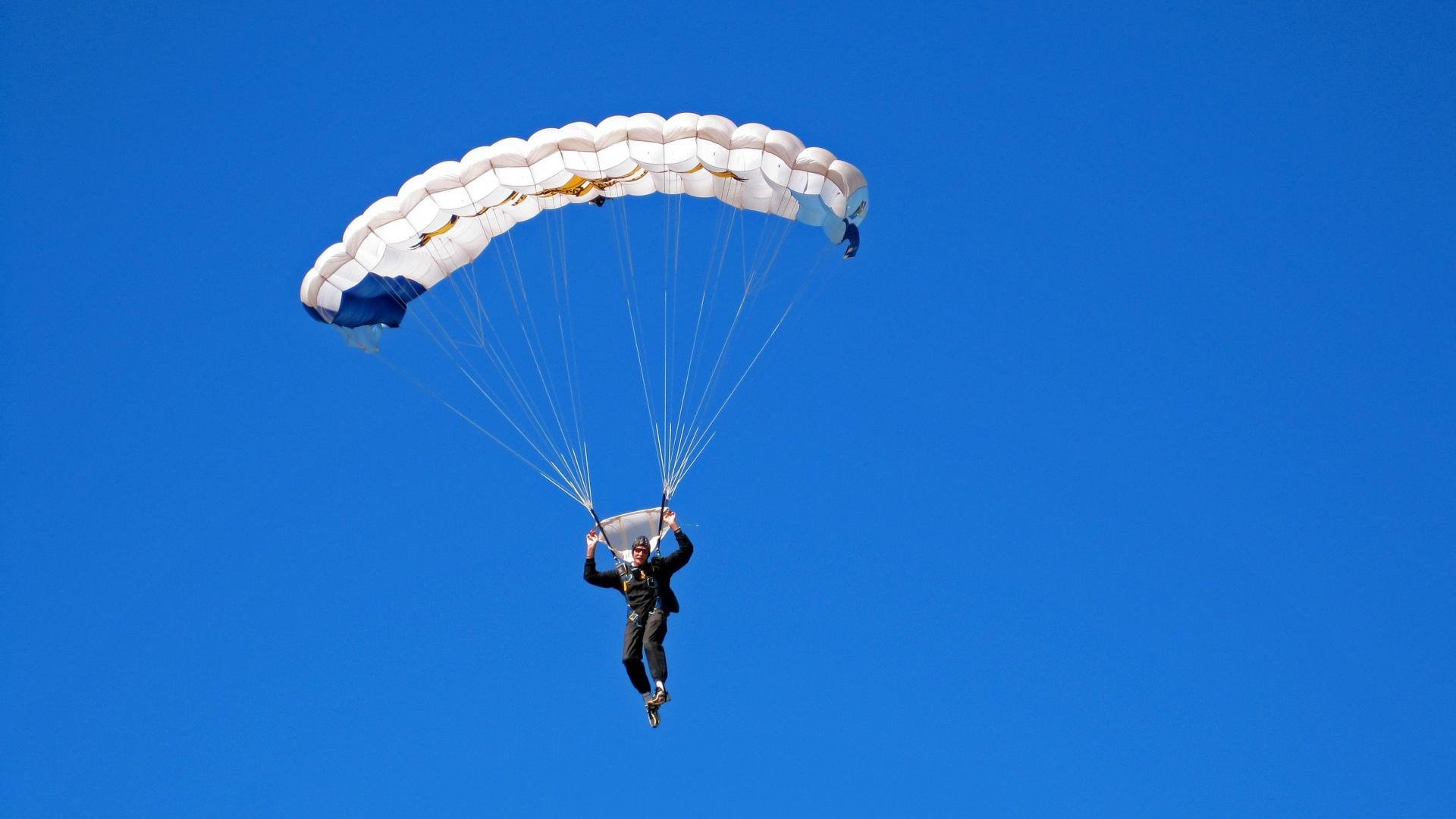 教科书般的统治力，拉梅洛·鲍尔如何带领骑士狂胜黄蜂